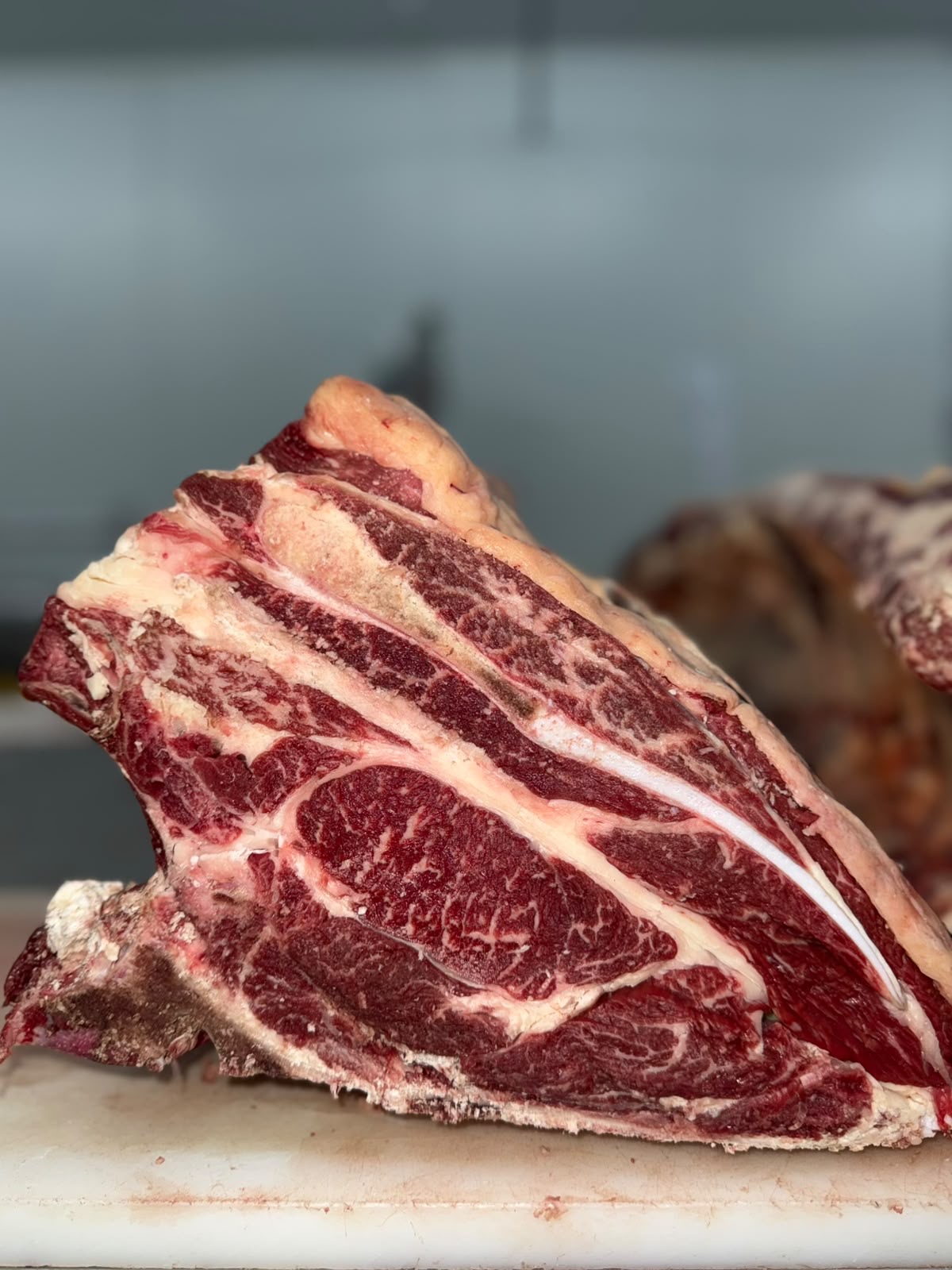 Cata de carne